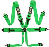 QSP FIA Racegordel - 6-punts gordel Pro Plus - Groen