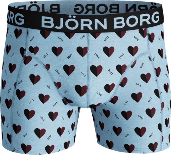 homoseksueel verkiezen roestvrij Bjorn Borg Heren Boxershort 1p Fathers Day Maat S Mannen | bol.com