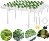 Polaza®️ Waterdruppelaar Voor Planten - Waterdruppelaar - Druppelsysteem - Watergever - Watergeefsysteem - 54 Gaten - 98x66x32cm