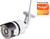 Denver - IP WIFI camera Buiten - Smart Home - werkt met TUYA - Full HD - Waterproof