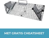 Unpest - Rattenvangkooi - Rattenval - 2 Ingangen - Metaal - Met Gratis Cheatsheet