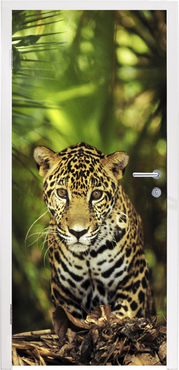 Deursticker Jonge jaguar in de jungle - 80x215 cm - Deurposter