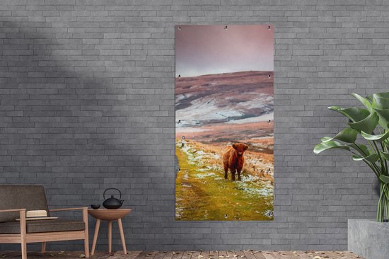 Affiche de clôture Highlander écossais - Nature - Veau - 100x200 cm - Toile de jardin