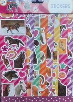 Paarden Stickers - 8 velletjes ca. 100 paardenstickers - Stickers paarden. zadels, rensport, medaille, voor poezie album, vriendenboekje