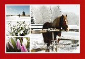 Kerst- en nieuwjaarskaarten - 30 stuks met enveloppen - 6 verschillende designs - thema honden en katten