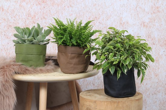 uitzending Pedagogie Onzin WLPlants Trendy plantenzak Kraft pot Easy Ø12 - Bruin - Hoogte 12cm - Hippe  bloempot... | bol.com