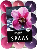 Spaas Geparfumeerde Waxinelichtjes - Wild Orchid - 24 Stuks