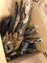 Davo Dog Supplies Snack Box Fish