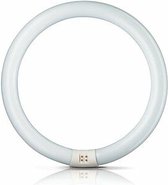 Philips TL-E Circular Spaarlamp G10q - 22W - Koel Wit Licht - Niet Dimbaar - 2 stuks