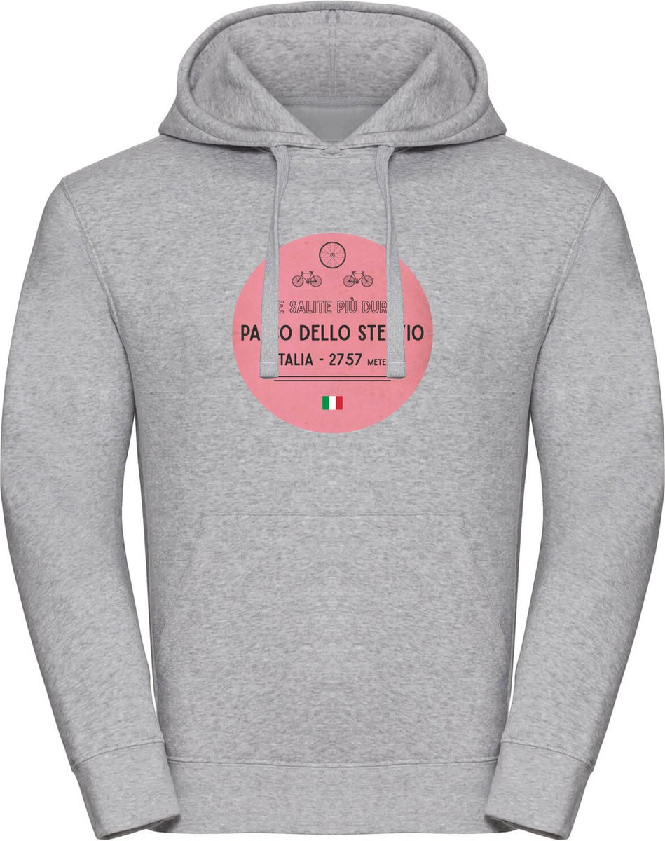 Wieler hoodie Passo Dello Stelvio
