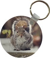 Porte-clés - Écureuil - Animaux sauvages - Hiver - Plastique - Rond