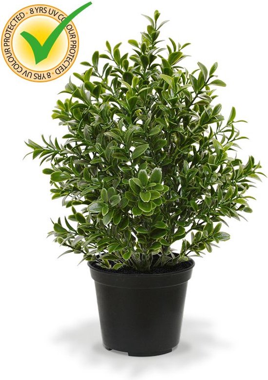 Foto: Buxus kunstplant 30cm in pot uv bestendig