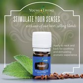 Young Living Essential Oil Blend PanAway - 5ml - Essentiele olie – Aromatherapie
