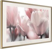 Pastel Tulips II