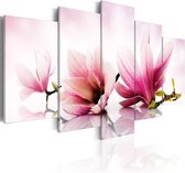 Schilderij - Magnolias: pink flowers.