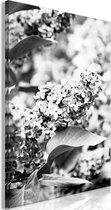 Schilderij - Monochrome Lilac (1 Part) Vertical.