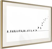 Birds on a Wire