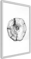 Tree Rings.