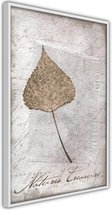 Dried Leaf