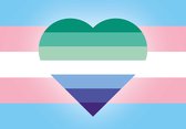 Sticker - Vlagsticker - Trans & Gay - LGBT+ - Regenboog - Pride