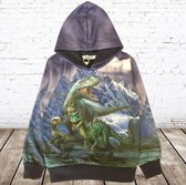 Hoodie met dino H179 -s&C-134/140-Hoodie jongens