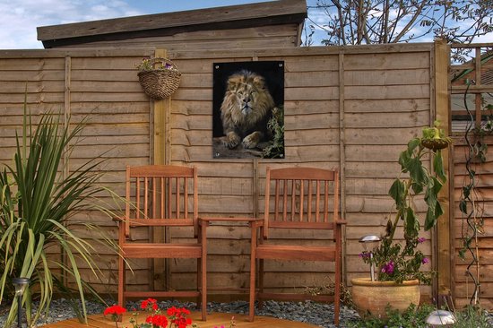 Décoration de Jardin Lions - Chasse - Portrait - 30x40 cm - Toile de jardin