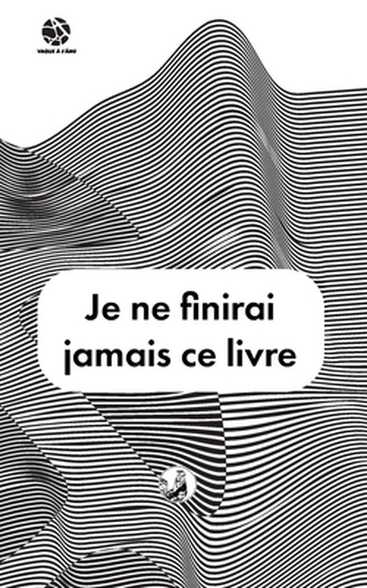 Juste Un Type Fade- Je ne finirai jamais ce livre - cover