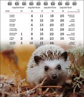 Animal life bureaukalender 2023