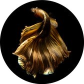 PB-Collection – Muurstickers – Binnen – Woonkamer – Wanddecoratie - Muursticker Vis Goud rond 115cm – Muurstikker – Muur sticker – Muurdecoratie – Wandversiering – Decoratie sticke