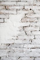 Backdrop Old White Bricks