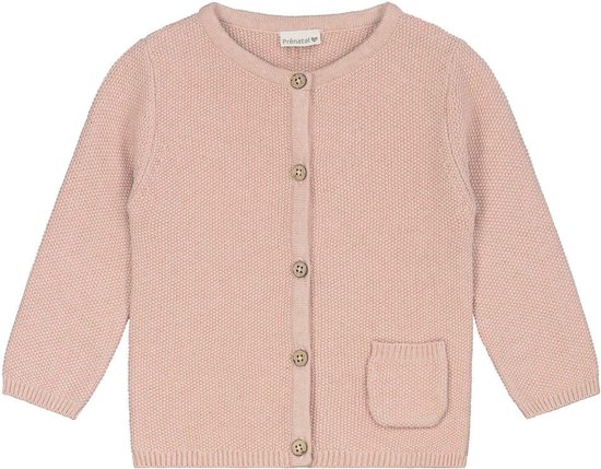 Baby vestje maat 56 De leukste vestjes