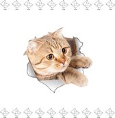EPIN | WC Sticker | Katten Sticker | Deur Sticker | 3D Vinyl Sticker | Muursticker | 23x25 CM