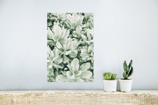 Affiche plantes en fond naturel - 20x30 cm