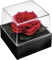 Moederdag tip - Echte Longlife rose - minimaal 2 jaar lang - Roos -  Longlife Roos 'rood' in Luxe Giftbox - Geen Water - Love