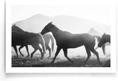 Walljar - Paarden - Dieren poster