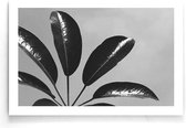 Walljar - Leaves Blue - Zwart wit poster
