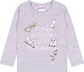 Grijs meisjes t-shirt van Harry Potter / 110 cm