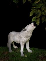 Wolf wit huilend 44 cm - polyresin - polystone - hoogkwalitatieve kunststof - decoratiefiguur - interieur - accessoire - voor binnen - voor buiten - cadeau - geschenk - tuinfiguur