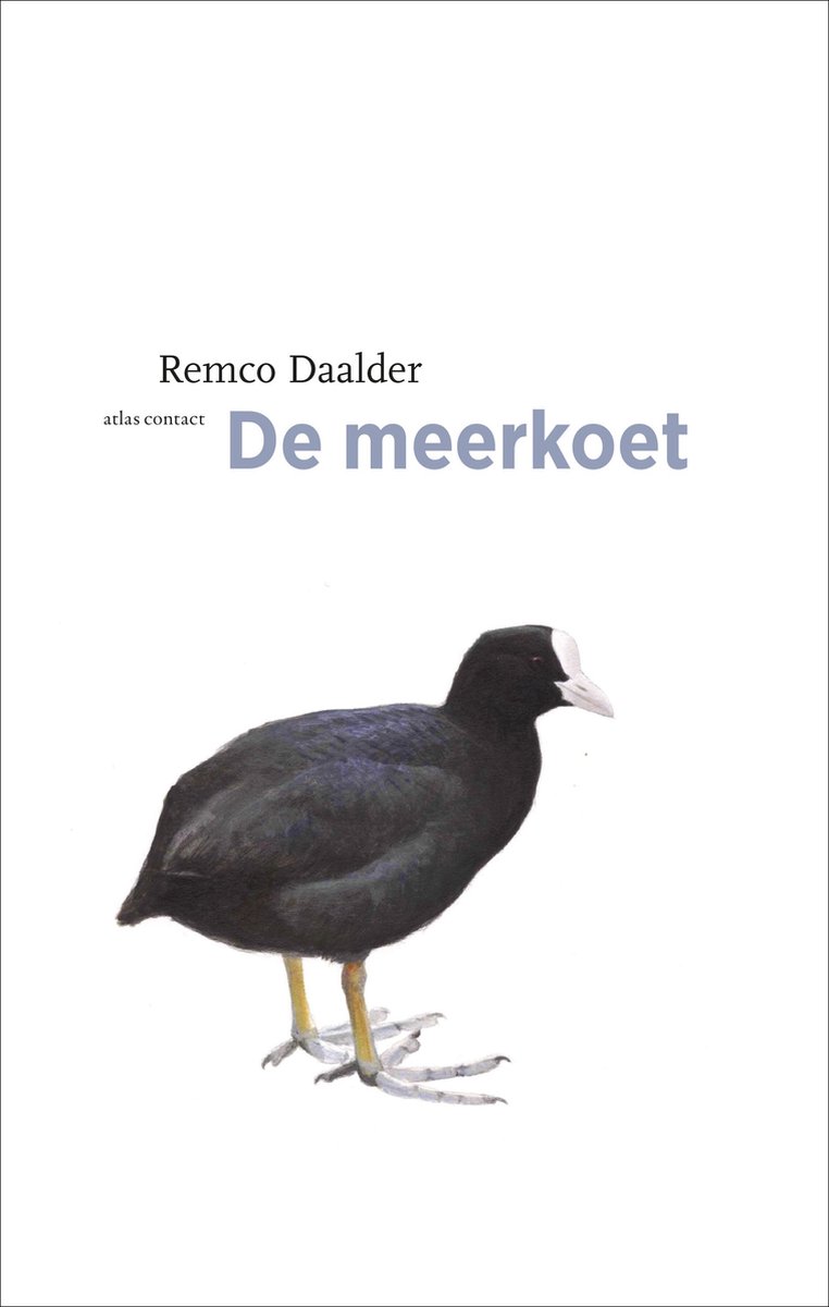 De vogelserie 11 -   De meerkoet - Remco Daalder