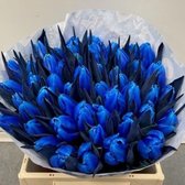 Verse Tulpen -  Blue - 50 stuks