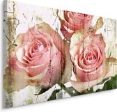 Schilderij - Prachtige Roze Rozen, Vintage afbeelding, Premium Print