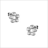Aramat jewels ® - Zweerknopjes- oorbellen rond-chirurgisch staal-10mm
