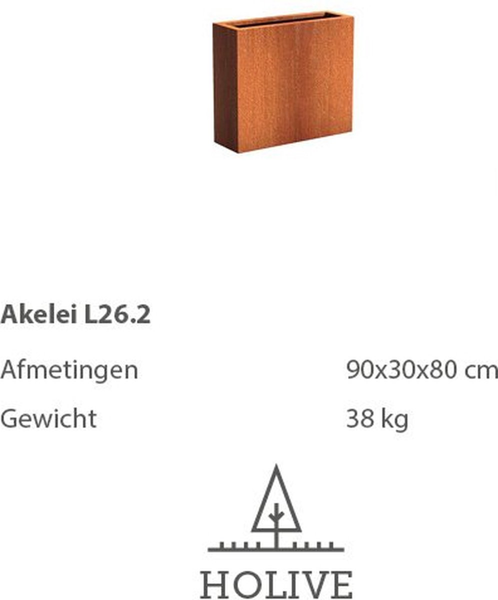 Cortenstaal Akelei L26.2 Rechthoek 90x30x80 cm. Plantenbak