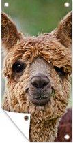 Tuinposter Alpaca - Portret - Dier - 30x60 cm - Tuindoek - Buitenposter