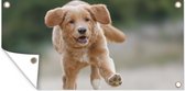 Tuinposter Een gouden Retriever-puppy - 60x30 cm - Tuindoek - Buitenposter