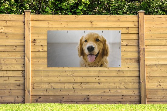 Décoration murale extérieur un super Golden Retriever - 160x80 cm - Toile de jardin - Affiche extérieure