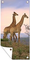 Tuinposter Giraffes - Lucht - Landschap - 40x80 cm - Wanddecoratie Buiten - Tuinposter - Tuindoek - Schuttingposter - Tuinschilderij