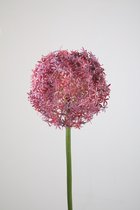 Kunstbloem - set van 2 - Allium - decoratieve tak - 70 cm - Lavendel