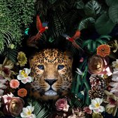 Glasschilderij - jaguar - dierenrijk - 80x80 cm - Wanddecoratie