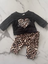 Baby meisjes setje 2 delig bestaat uit een broek en trui in de kleur zwart met panterprint, verkrijgbaar in de maten 56 t/m 80